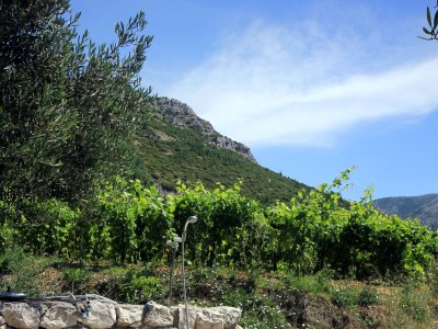 Apartment Two bedroom apartment with terrace and sea view Viganj, Pelješac A-260-a - Outdoor photo 9