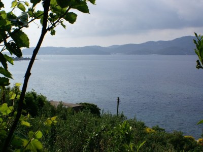 Apartment Two bedroom apartment with terrace and sea view Viganj, Pelješac A-260-a - Outdoor photo 23