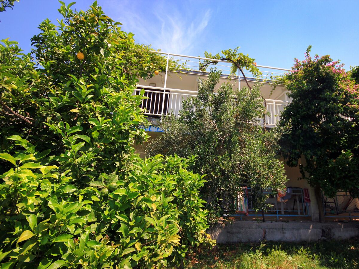 Apartment One bedroom apartment with terrace and sea view Viganj, Pelješac A-260-c - Outdoor photo 2