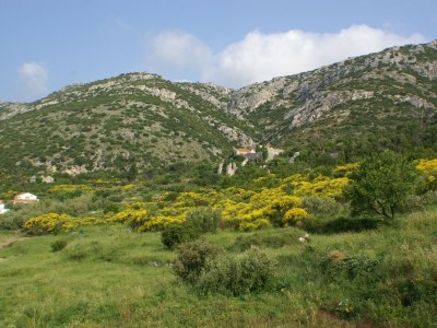 Apartment One bedroom apartment with terrace and sea view Viganj, Pelješac A-260-c - Outdoor photo 22