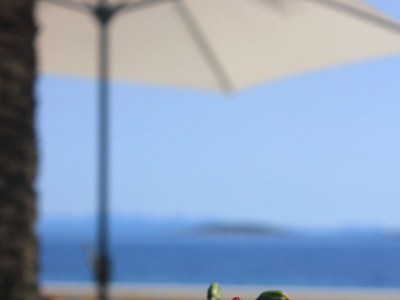 Apartment Two bedroom apartment near beach Orebić, Pelješac A-271-a - Outdoor photo 13