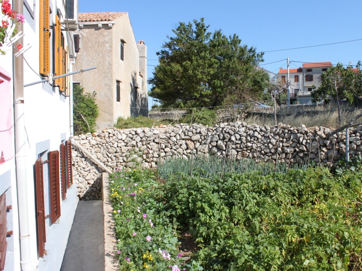 Apartment Two bedroom apartment with terrace Stivan, Cres A-382-a - Outdoor photo 5