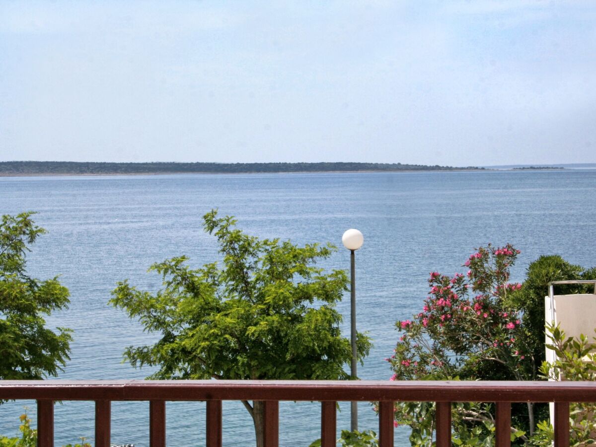 Apartment Studio flat near beach Mandre, Pag AS-4123-a