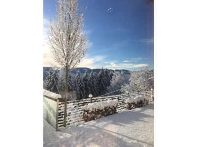 Holiday house Hof Niglberg - Environment photo 21