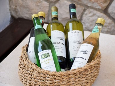 Apartment Two bedroom apartment near beach Podobuče, Pelješac A-631-a - Outdoor photo 9