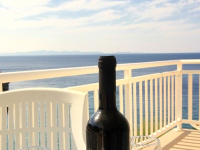 Apartment Two bedroom apartment near beach Podobuče, Pelješac A-631-b - Outdoor photo 22