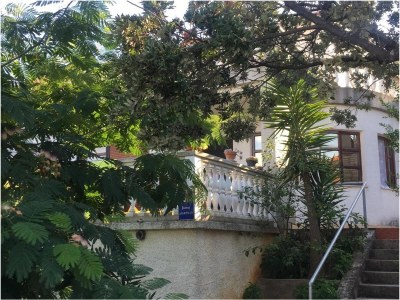 Apartment Two bedroom apartment near beach Zaglav, Dugi otok A-17788-d - Outdoor photo 7