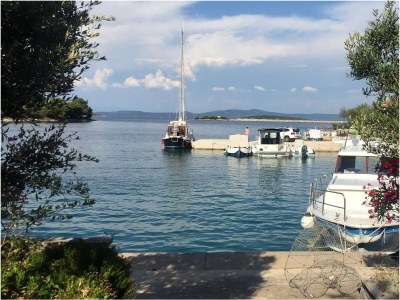 Apartment Two bedroom apartment near beach Zaglav, Dugi otok A-17788-d - Outdoor photo 8