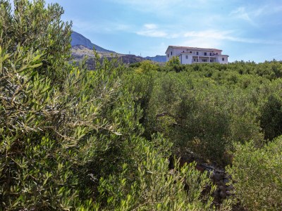 Apartment One bedroom apartment with terrace Tučepi, Makarska A-22005-a - Outdoor photo 34