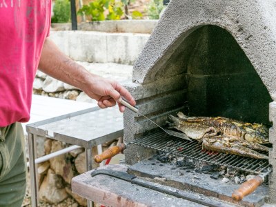 Apartment One bedroom apartment with balcony Živogošće - Blato, Makarska A-22253-b - Outdoor photo 6