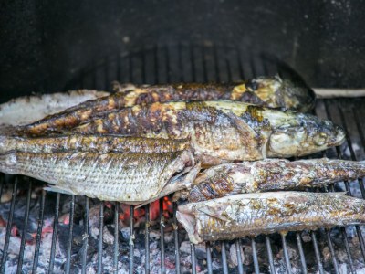 Apartment One bedroom apartment with balcony Živogošće - Blato, Makarska A-22253-b - Outdoor photo 7