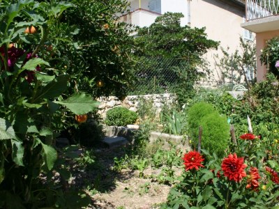 Apartment Studio flat near beach Omiš AS-771-b - Outdoor photo 4