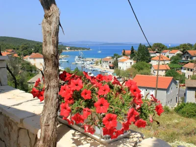 Apartment One bedroom apartment with terrace and sea view Žman, Dugi otok A-887-b in Zman - Apartment
