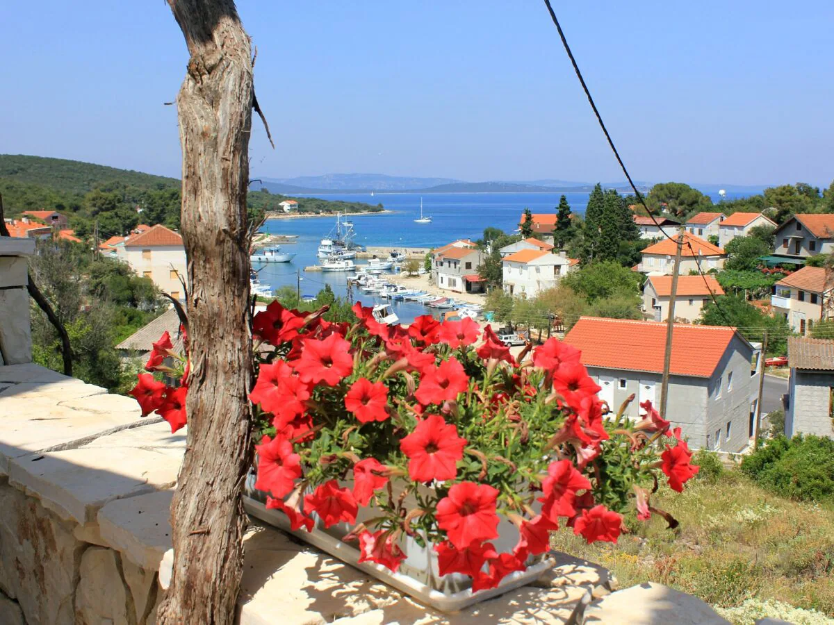 Apartment One bedroom apartment with terrace and sea view Žman, Dugi otok A-887-c