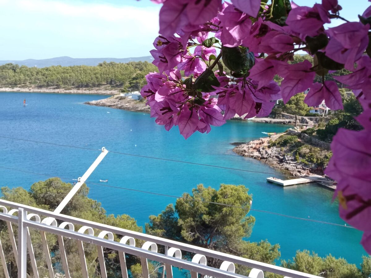 Apartment Three bedroom apartment with terrace and sea view Basina, Hvar A-4620-a