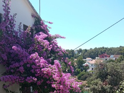Apartment Three bedroom apartment with terrace and sea view Basina, Hvar A-4620-a - Outdoor photo 6