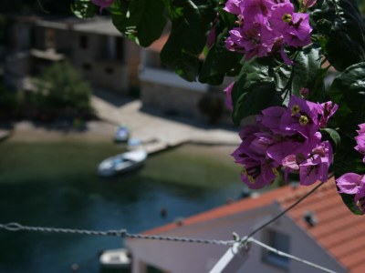Apartment Three bedroom apartment with terrace and sea view Basina, Hvar A-4620-a - Outdoor photo 28