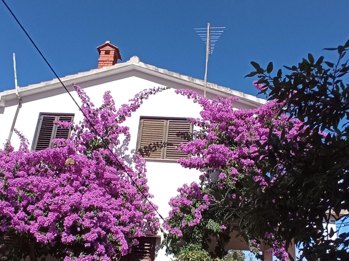 Apartment Studio flat with terrace and sea view Basina, Hvar AS-4620-a - Outdoor photo 4