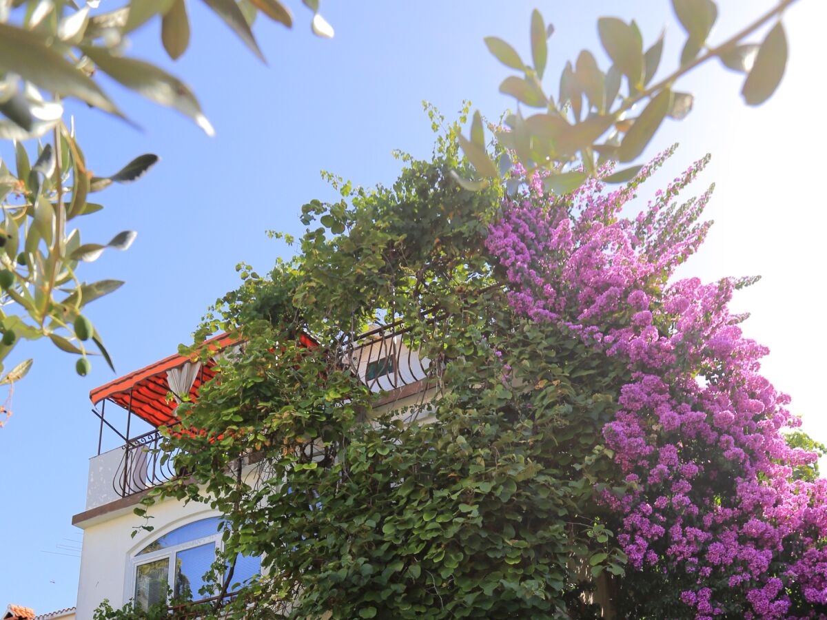 Apartment Two bedroom apartment with terrace Okrug Gornji, Čiovo A-1069-a - Outdoor photo 5