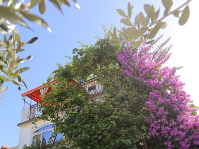 Apartment Studio flat with balcony and sea view Okrug Gornji, Čiovo AS-1069-a - Outdoor photo 5