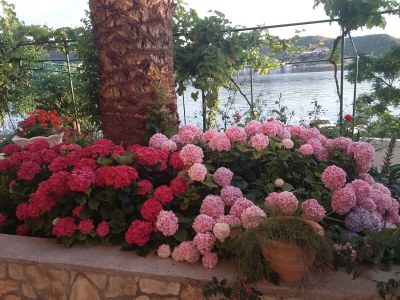 Apartment Two bedroom apartment near beach Supetarska Draga - Gornja, Rab A-2016-b - Outdoor photo 20