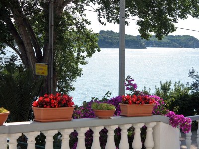 Apartment One bedroom apartment near beach Supetarska Draga - Gornja, Rab A-2016-c in Rab - Apartment