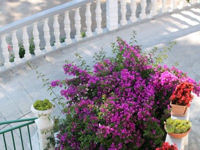 Apartment One bedroom apartment near beach Supetarska Draga - Gornja, Rab A-2016-c - Outdoor photo 18