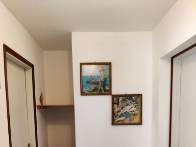 Apartment Two bedroom apartment near beach Brodarica, Šibenik A-4833-b - Outdoor photo 37