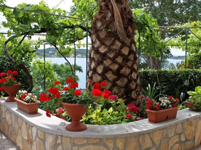 Apartment One bedroom apartment near beach Supetarska Draga - Gornja, Rab A-2016-e - Outdoor photo 12