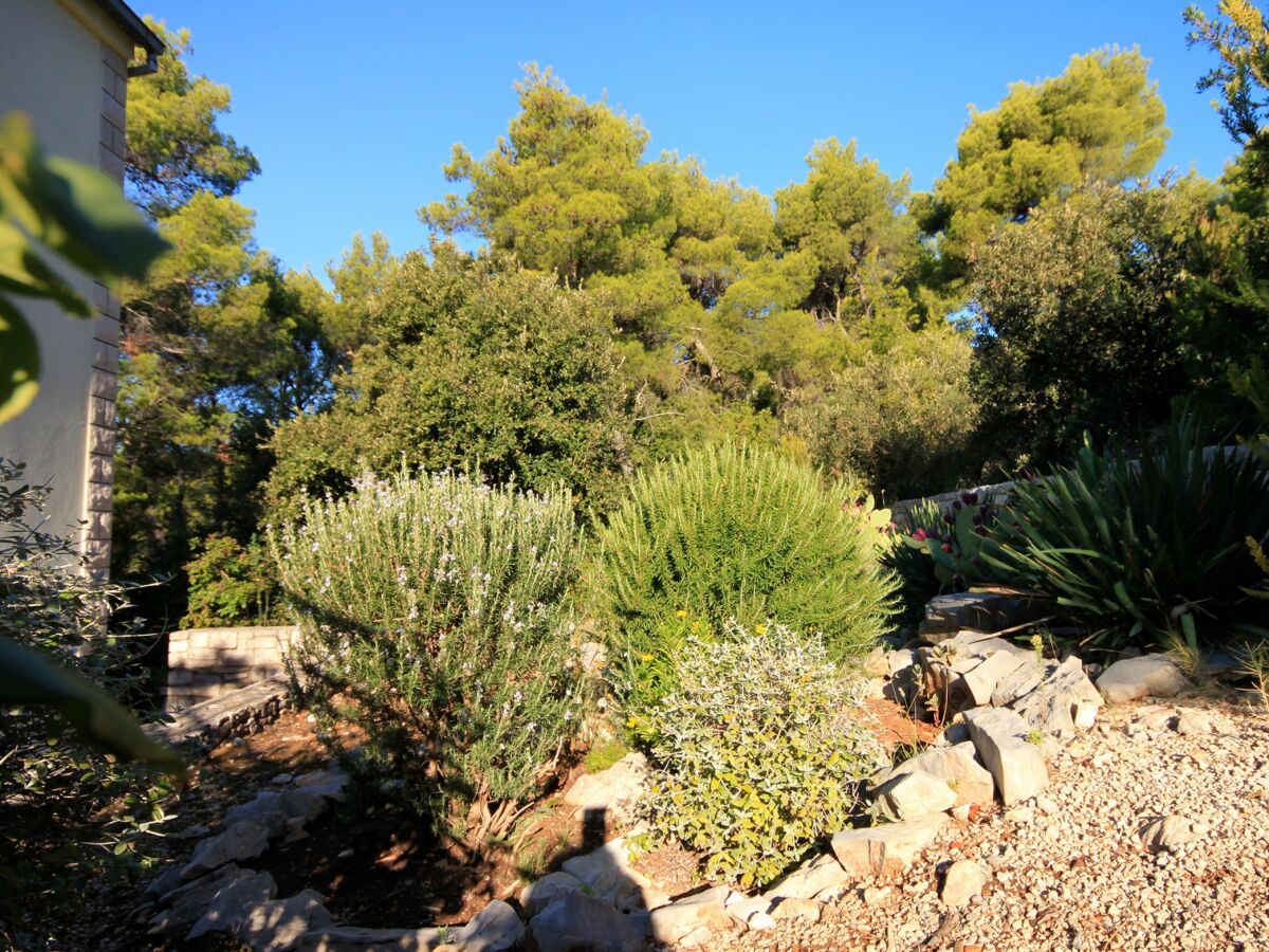 Apartment Apartments by the sea Brna, Korčula - 4478 - Apartments by the sea Brna, Korčula - 4478 - Outdoor photo 5