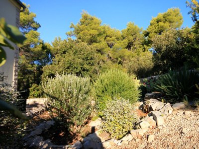 Apartment Apartments by the sea Brna, Korčula - 4478 - Apartments by the sea Brna, Korčula - 4478 - Outdoor photo 5