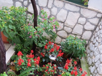 Apartment Two bedroom apartment with terrace and sea view Mastrinka, Čiovo A-2050-b - Outdoor photo 10