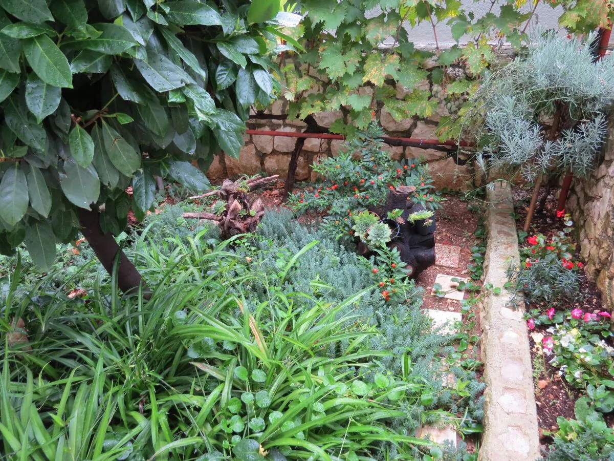 Apartment Two bedroom apartment with terrace and sea view Mastrinka, Čiovo A-2050-c - Outdoor photo 5