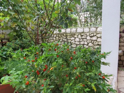 Apartment Two bedroom apartment with terrace and sea view Mastrinka, Čiovo A-2050-c - Outdoor photo 6