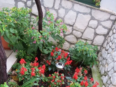 Apartment Two bedroom apartment with terrace and sea view Mastrinka, Čiovo A-2050-c - Outdoor photo 7