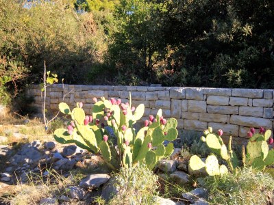 Apartment Apartments by the sea Brna, Korčula - 4478 - Apartments by the sea Brna, Korčula - 4478 - Outdoor photo 9