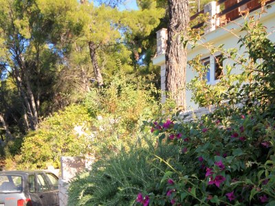 Apartment Apartments by the sea Brna, Korčula - 4478 - Apartments by the sea Brna, Korčula - 4478 - Outdoor photo 11