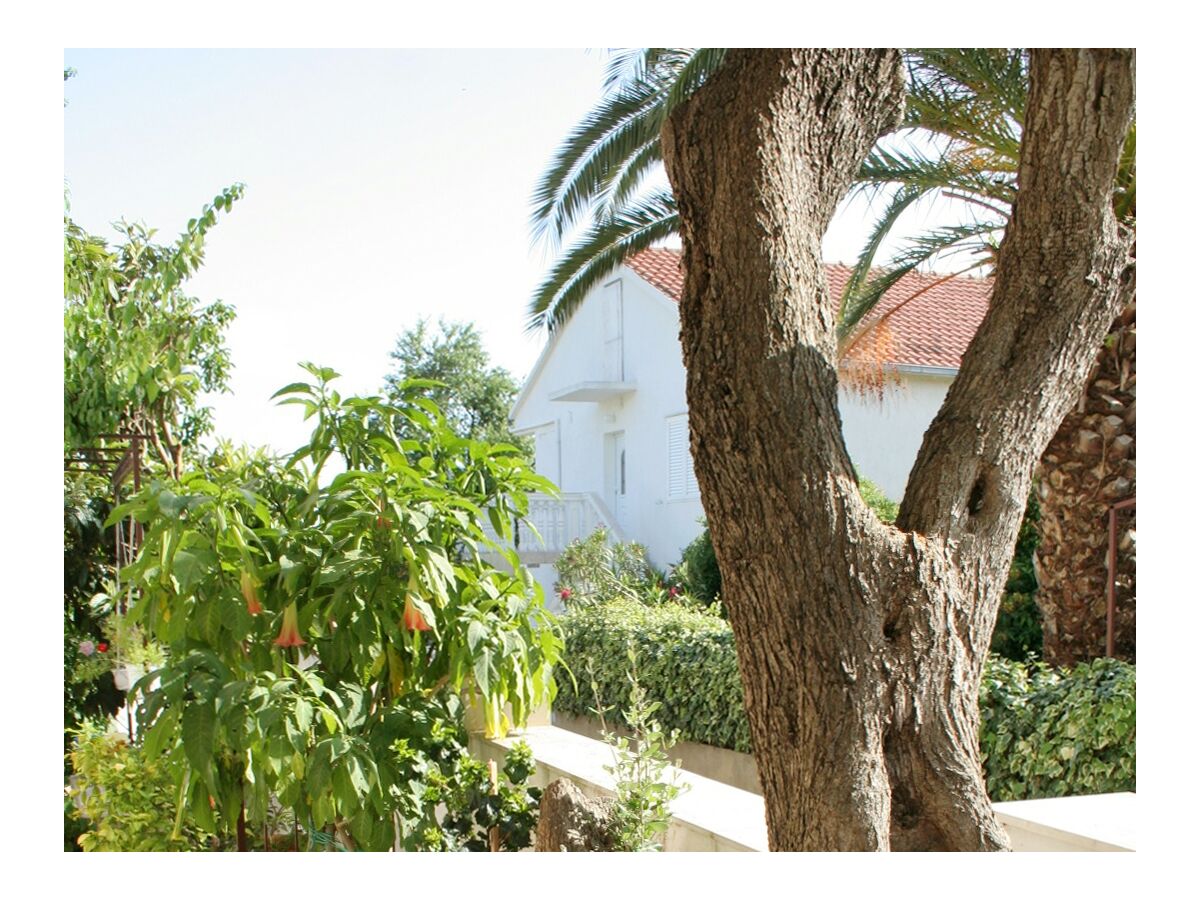 Apartment Three bedroom apartment with terrace Orebić, Pelješac A-4532-a - Outdoor photo 5