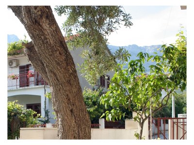 Apartment Three bedroom apartment with terrace Orebić, Pelješac A-4532-a - Outdoor photo 7