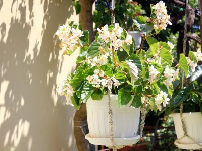 Apartment Three bedroom apartment with terrace Orebić, Pelješac A-4532-a - Outdoor photo 8