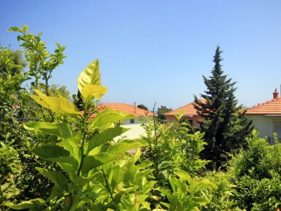 Apartment Three bedroom apartment with terrace Orebić, Pelješac A-4532-a - Outdoor photo 45