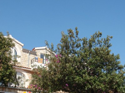 Apartment One bedroom apartment near beach Cove Pokrivenik, Hvar A-2073-g - Outdoor photo 11