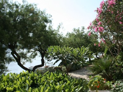 Apartment One bedroom apartment near beach Trstenik, Pelješac A-4566-a - Outdoor photo 31