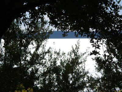 Apartment One bedroom apartment with terrace and sea view Rastići, Čiovo A-2080-b - Outdoor photo 16