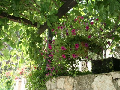 Apartment Studio flat near beach Trstenik, Pelješac AS-4566-a - Outdoor photo 14