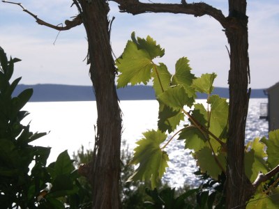 Apartment One bedroom apartment with terrace and sea view Rastići, Čiovo A-2080-c - Outdoor photo 20