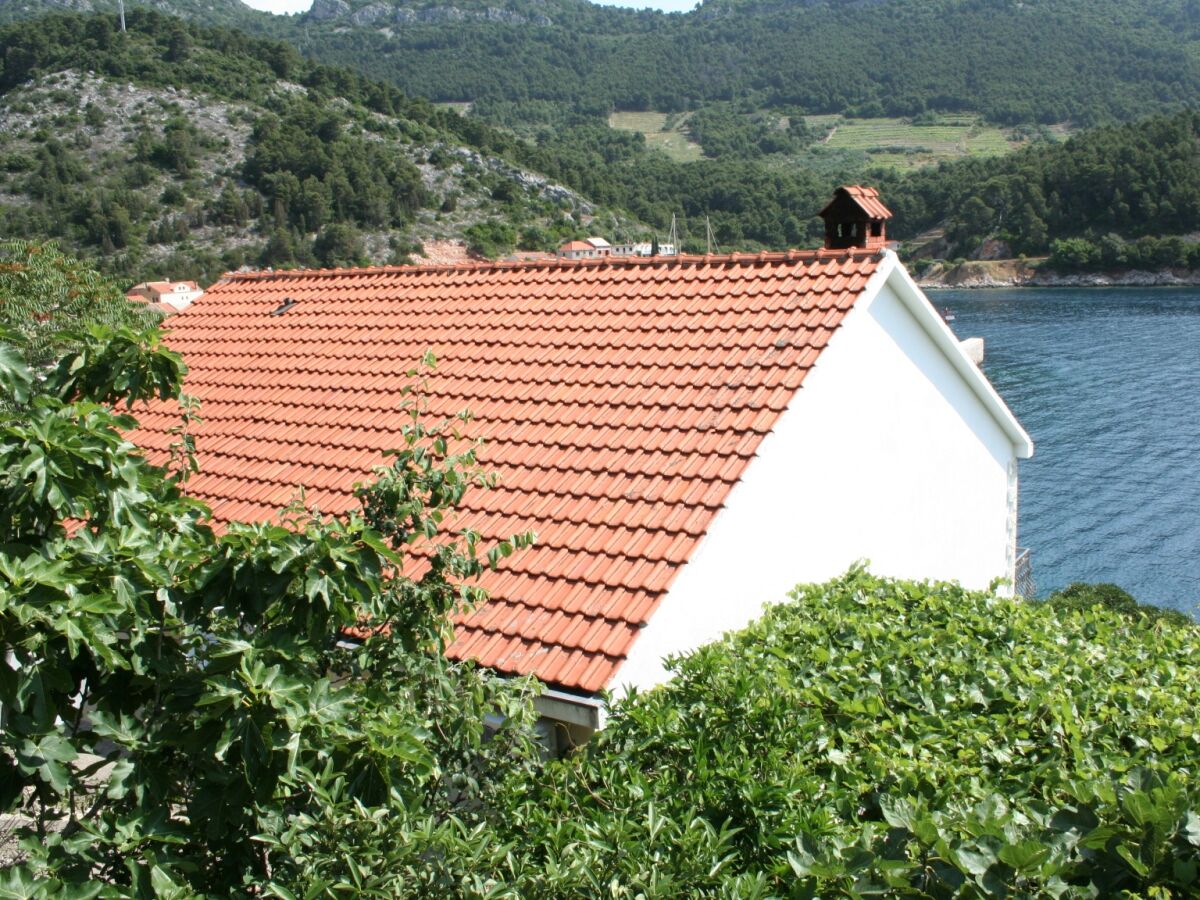 Apartment Studio flat near beach Trstenik, Pelješac AS-4566-b - Outdoor photo 5