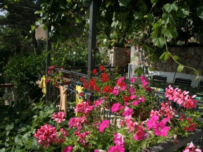 Holiday room near beach Trstenik, Pelješac S-4566-b - Outdoor photo 16