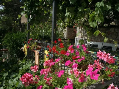 Holiday room near beach Trstenik, Pelješac S-4566-c - Outdoor photo 16
