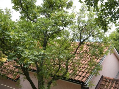 Apartment One bedroom apartment with terrace Povile, Novi Vinodolski A-2398-b - Outdoor photo 33